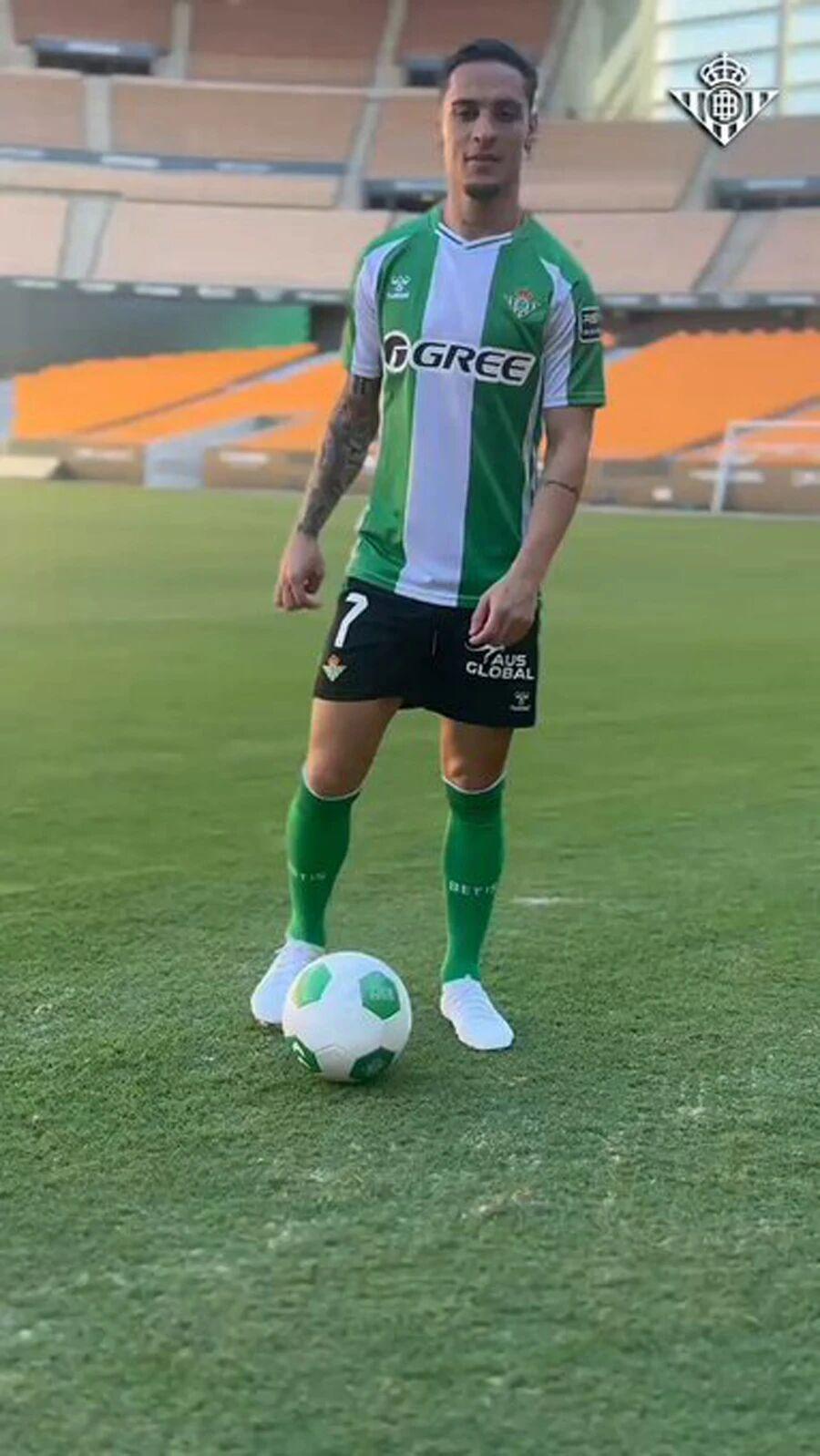 ei, img, 后者承担球